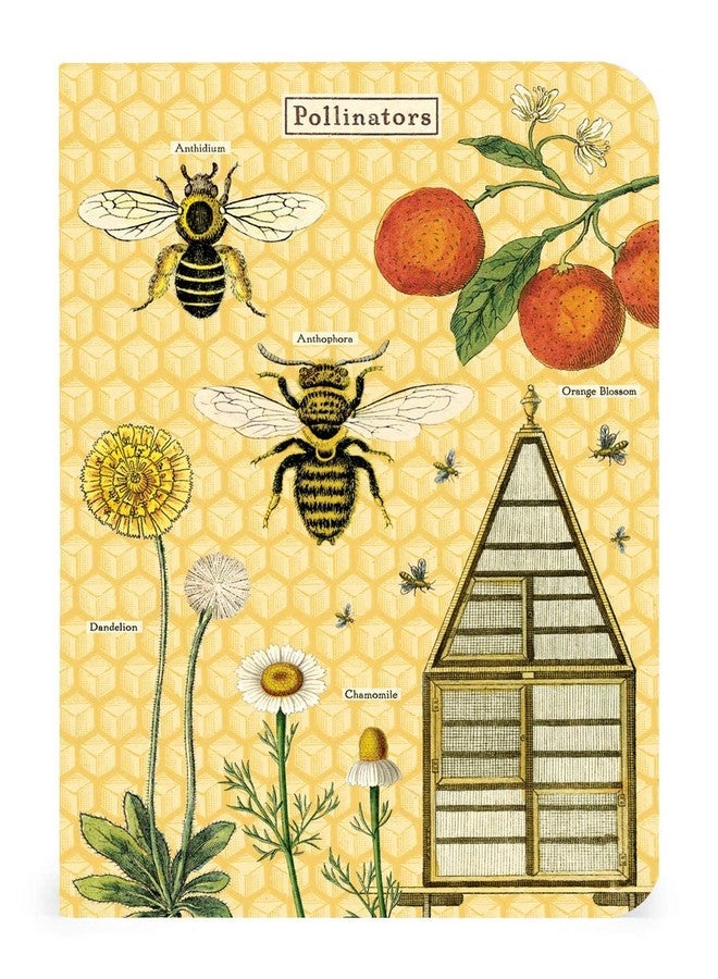 CAVANILLI & CO. Bees & Honey Mini Notebooks - Image 5